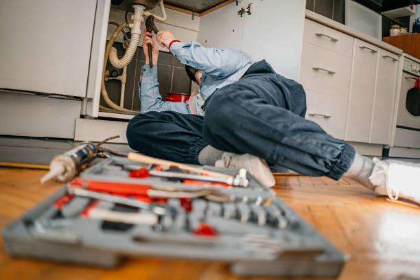 Best Drain Cleaning Services  in Despard, WV