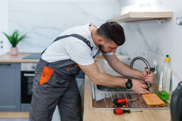 Professional Plumbing in Despard, WV