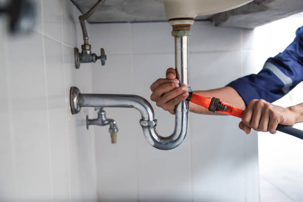 Best Clogged Drain Plumber  in Despard, WV
